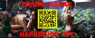 дмт Бийск