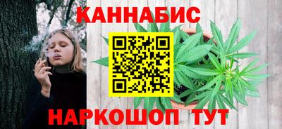 дмт Бийск