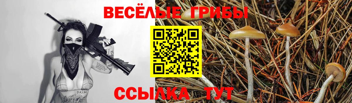 Галлюциногенные грибы ЛСД  Вход с VPN  купить наркотик  Кемерово  Галлюциногенные грибы Psilocybine cubensis 