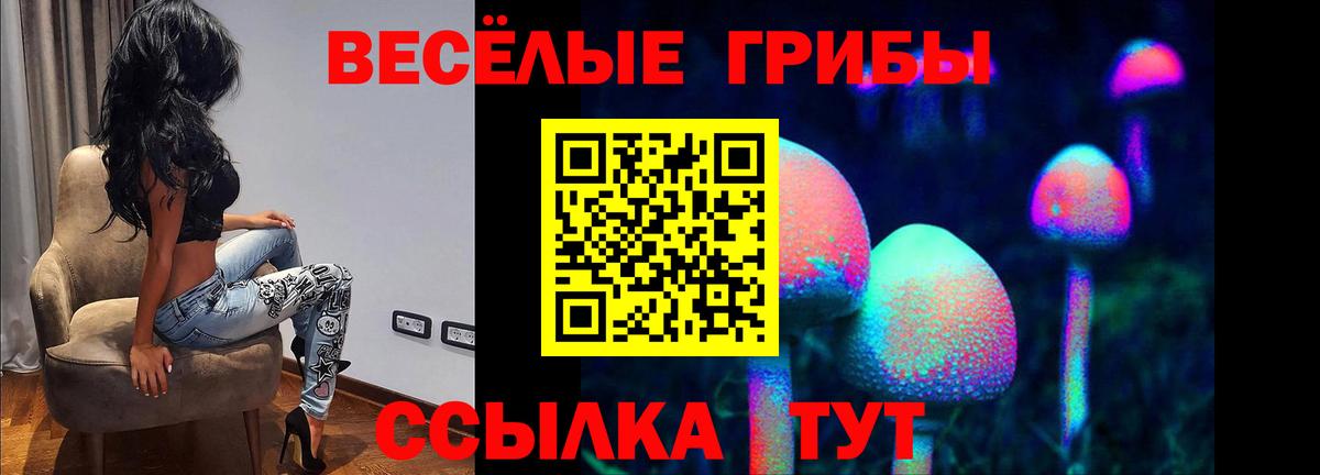 Псилоцибиновые грибы мицелий Кемерово